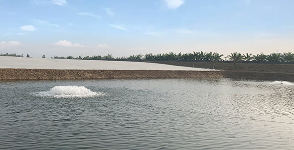 養(yǎng)魚塘增氧機-魚塘增氧機-增氧機廠家